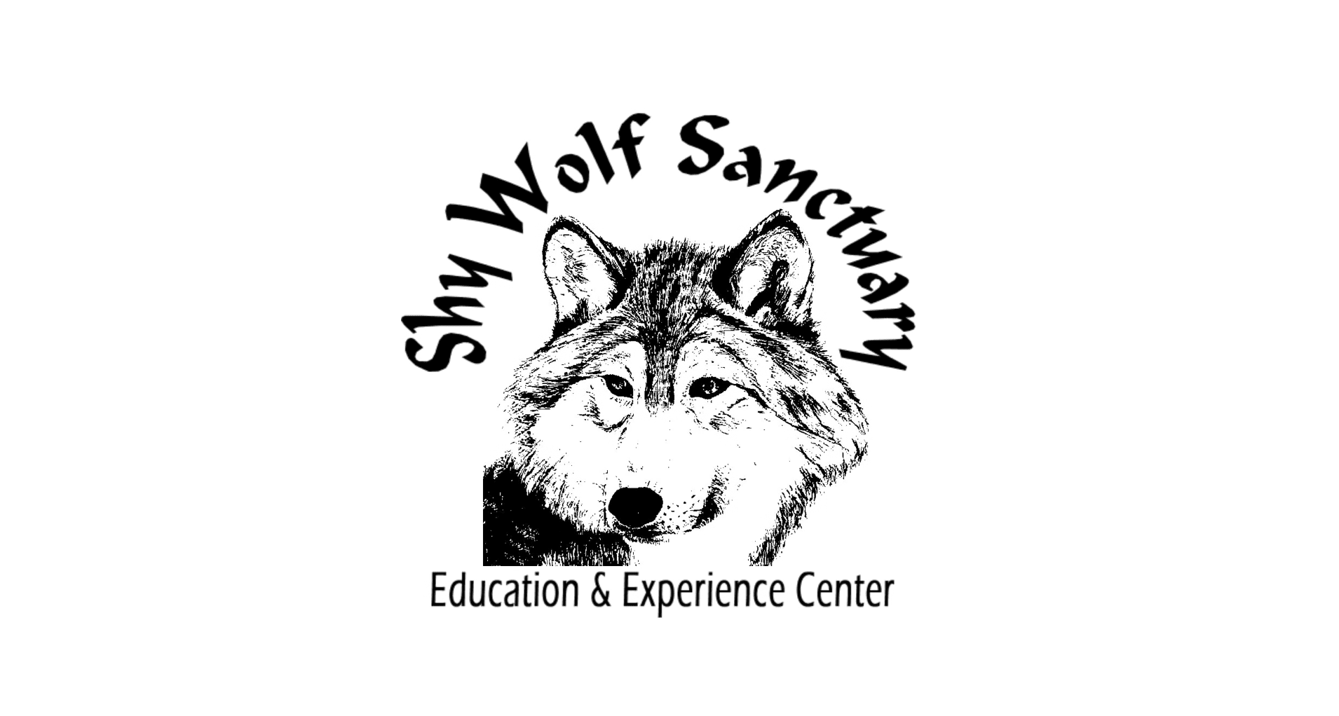 Shy Wolf Sanctuary Overview